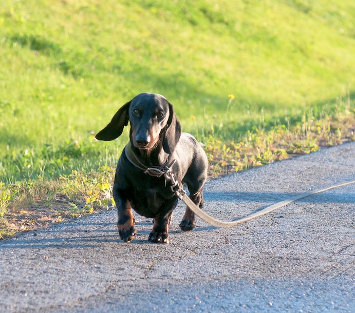 Ripples Across the Pond